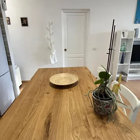 Lanza Palm *